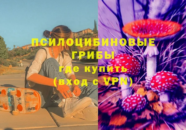 соль ск Сатка